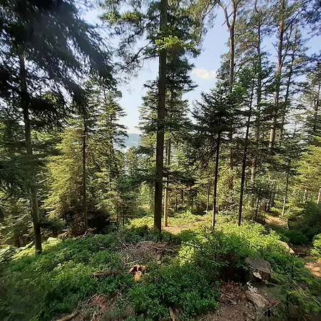 別荘 Grande Maison Lorraine *