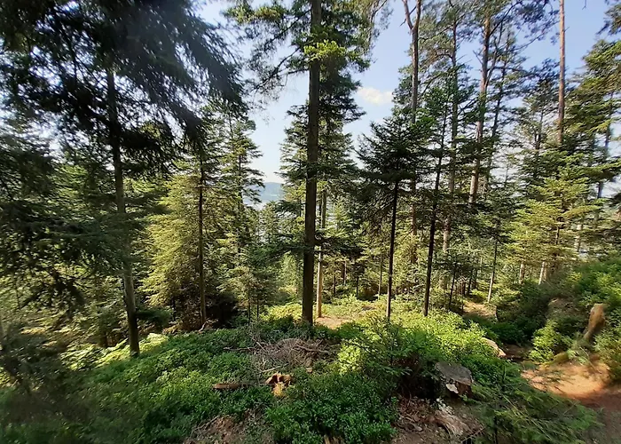 度假居 Grande Maison Lorraine *